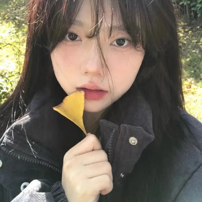 绵羊侦探团