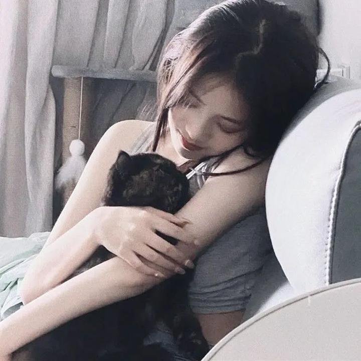 绵羊侦探团