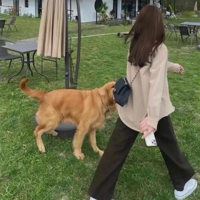 礼拜天